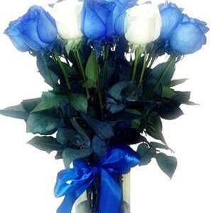 FLORERO ROSAS AZULES
