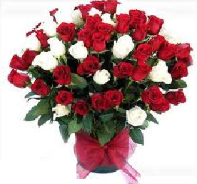 FLORERO ROSAS ROJAS Y BLANCAS (50)