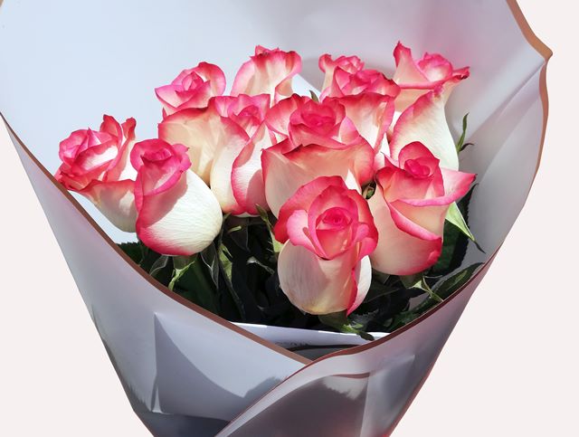 ramo_disi_mas_vendido