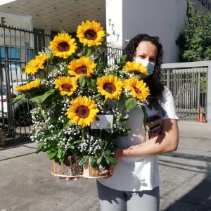 ARREGLO GIRASOLES AMARILLOS