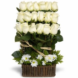 Condolencias frontal 18 rosas blancas