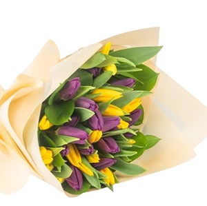 RAMO 20 TULIPANES AMARILLOS Y MORADOS